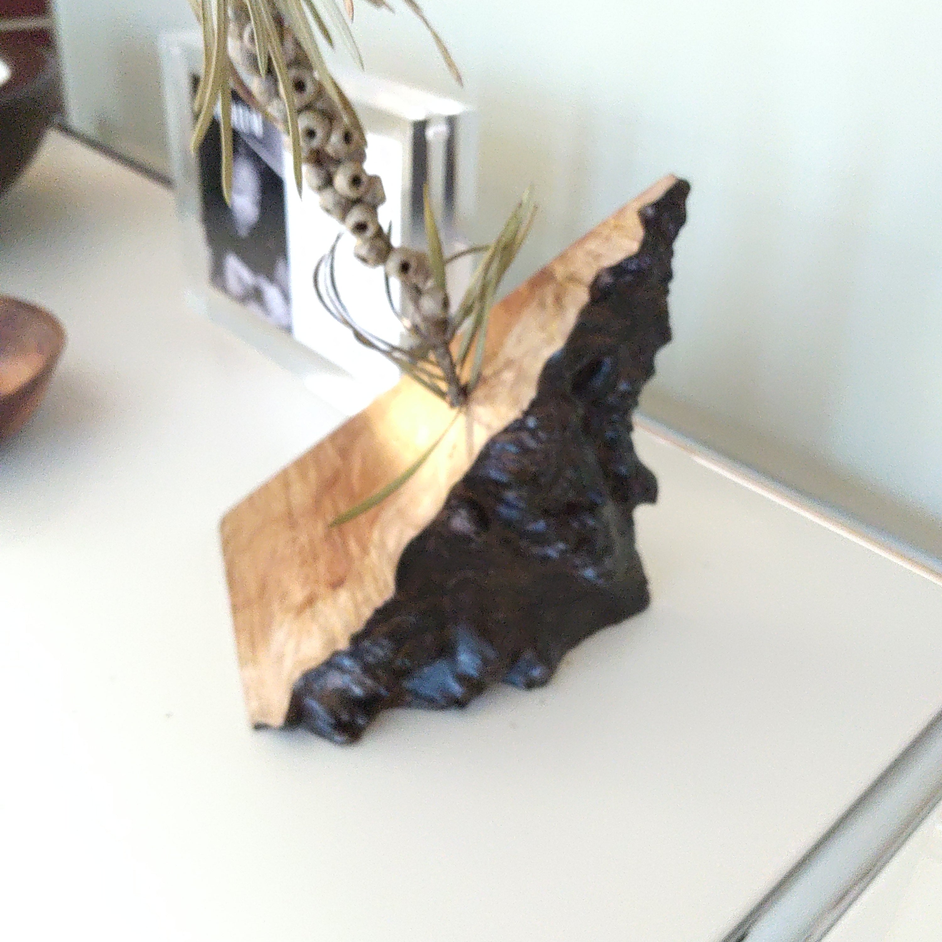 Burned Vase