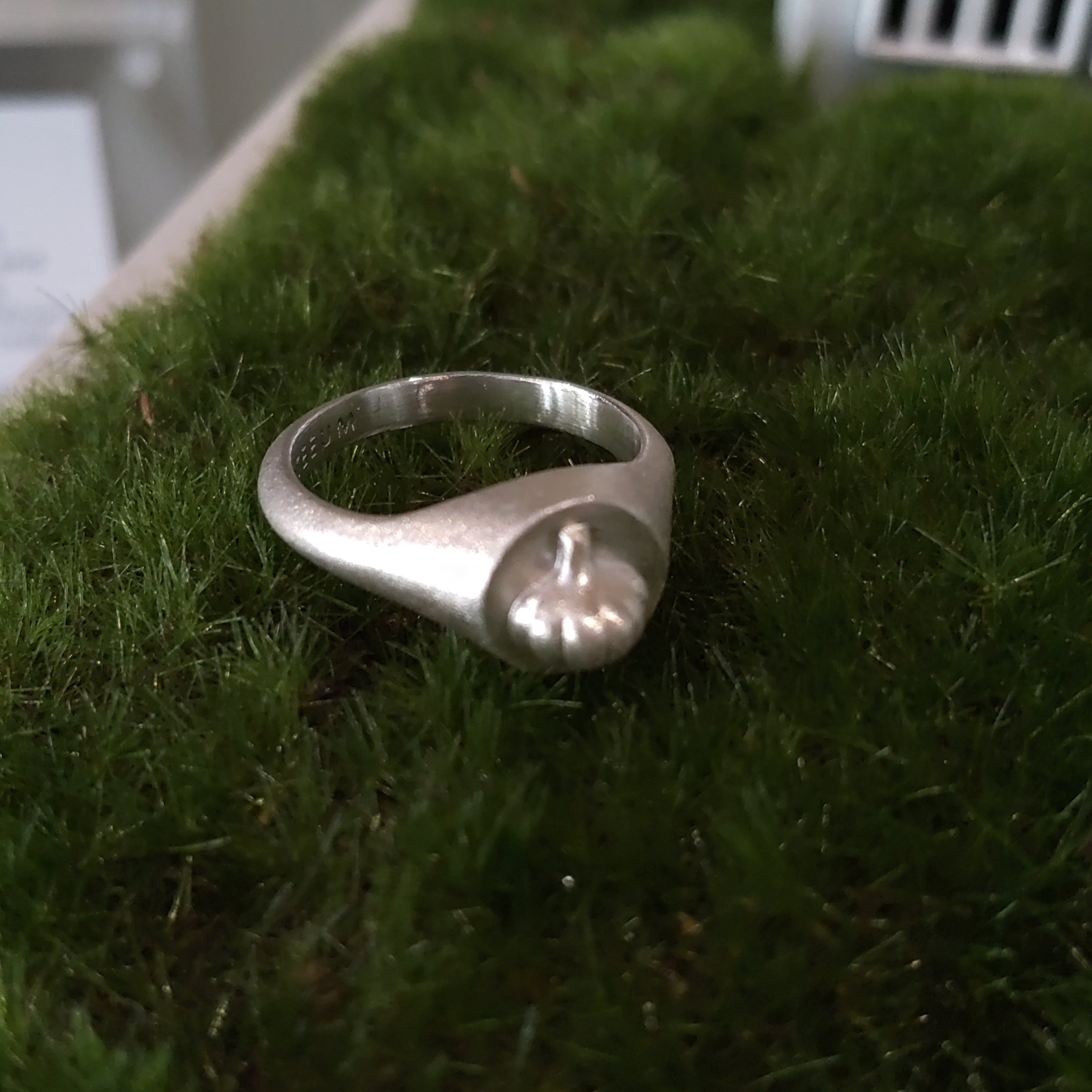 Garlic Ring